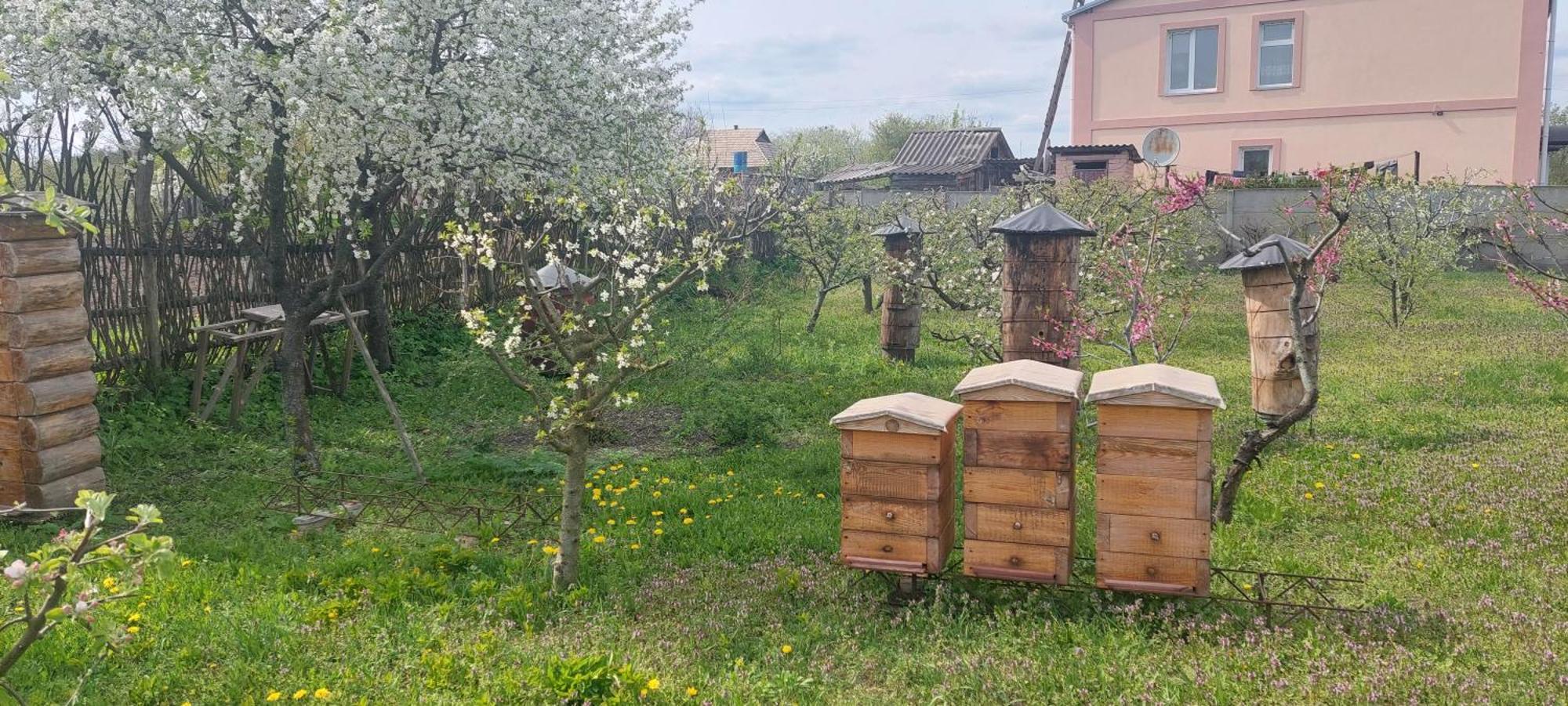 Садиба Зеленого Туризму «Золота Рибка» Medvedevka מראה חיצוני תמונה